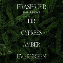 Load image into Gallery viewer, Fraser Fir 9 oz Soy Candle - Christmas Decor & Gifts